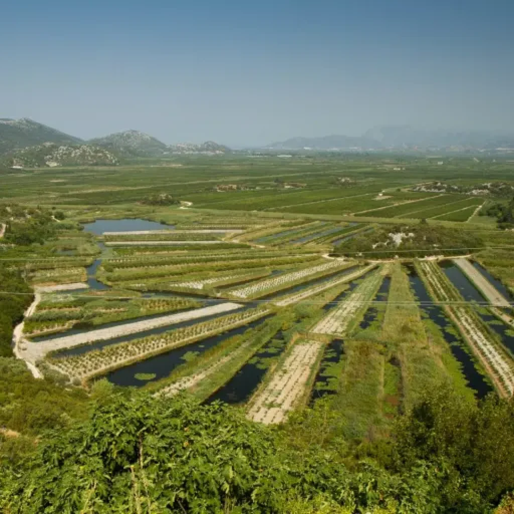 A jewel in the Neretva valley – the town of Metković