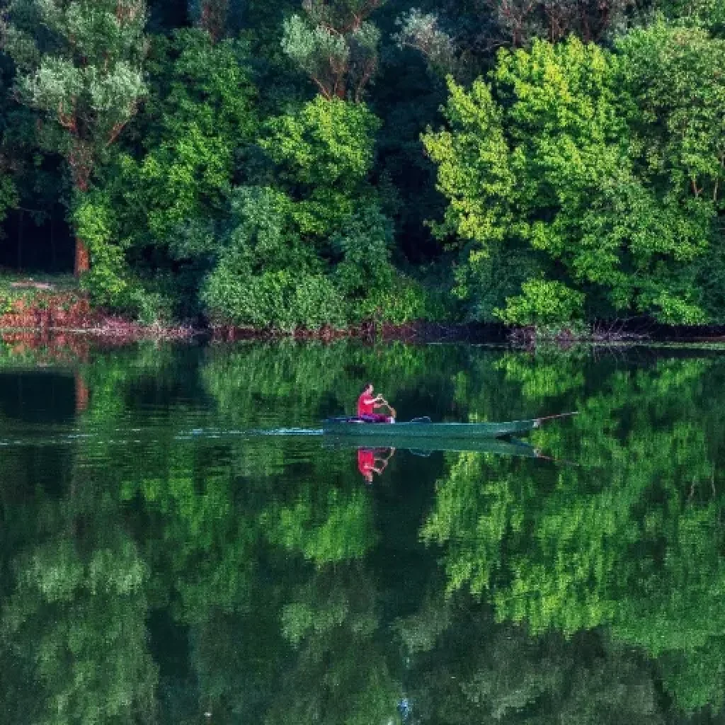 Bilje and Kopački rit