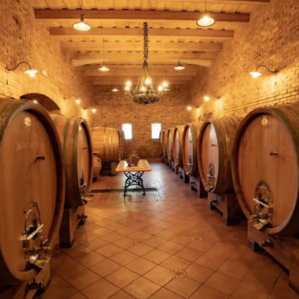 Petrač Winery