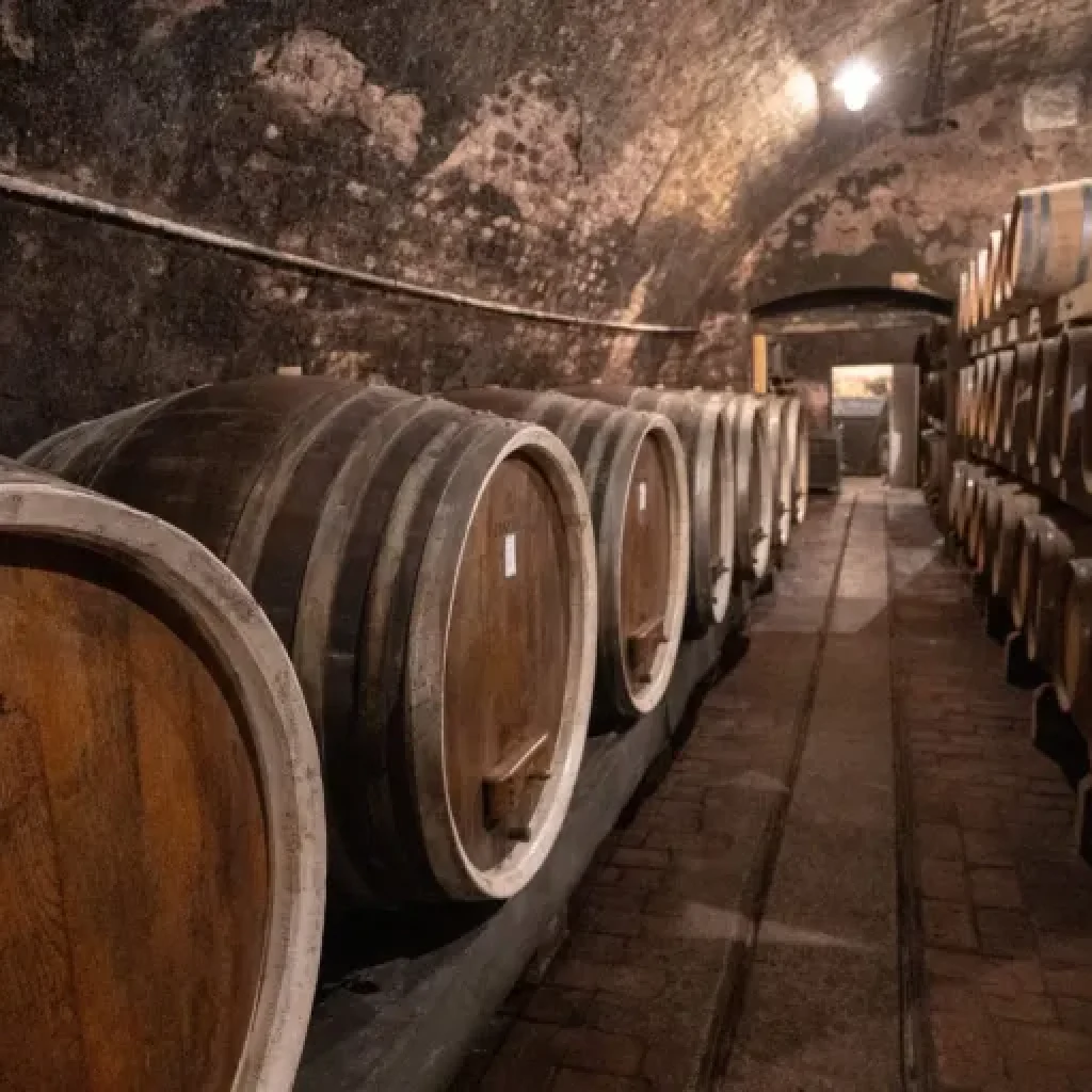 Ilok Wine Cellars