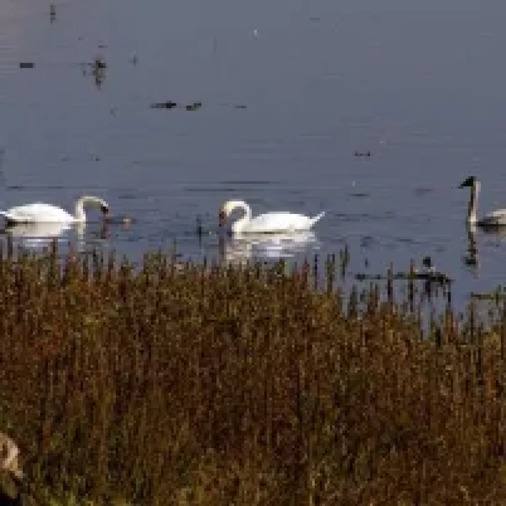 Sisak-Moslavina County